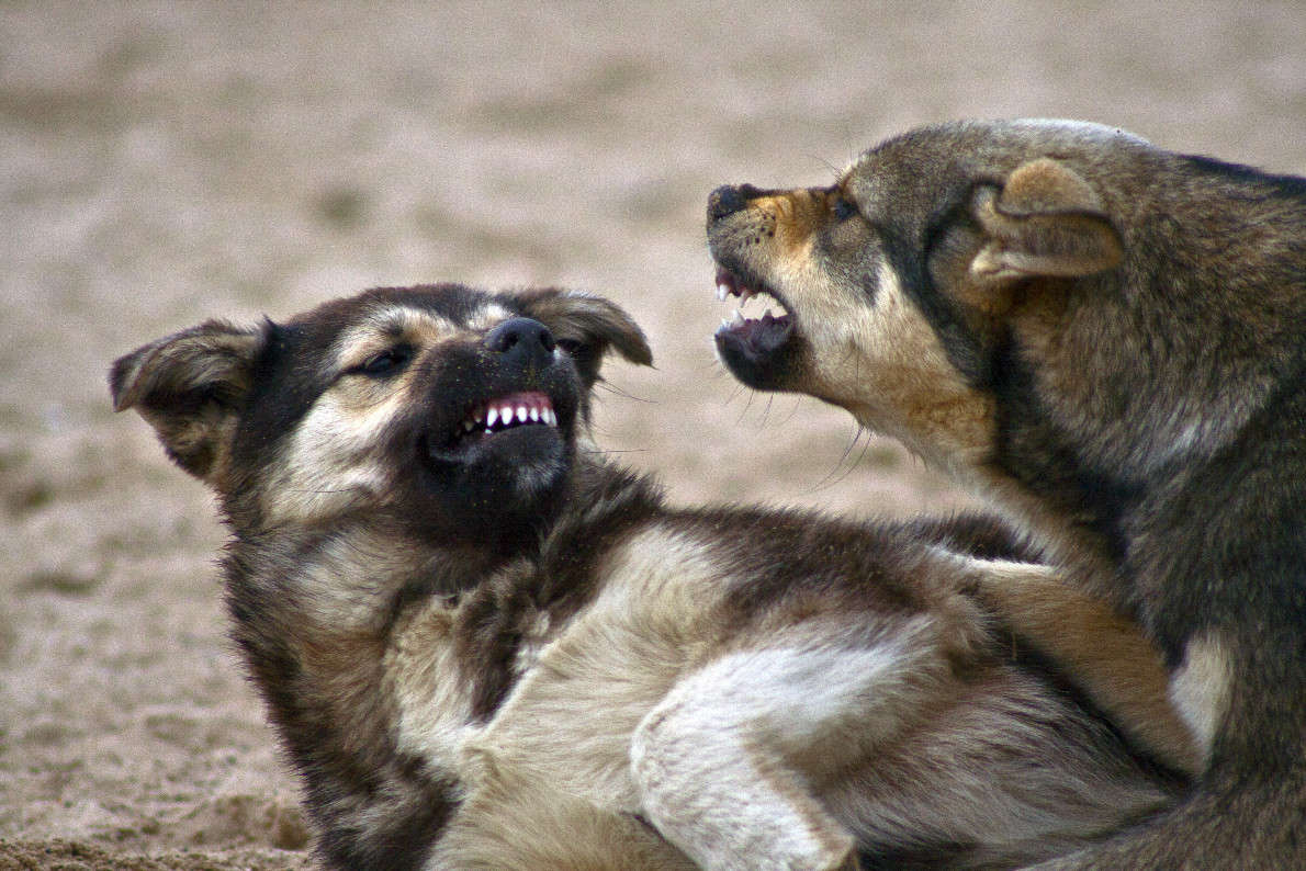 �������� ����� ����� ����������� �� PhotoGeek.ru #�������� ���