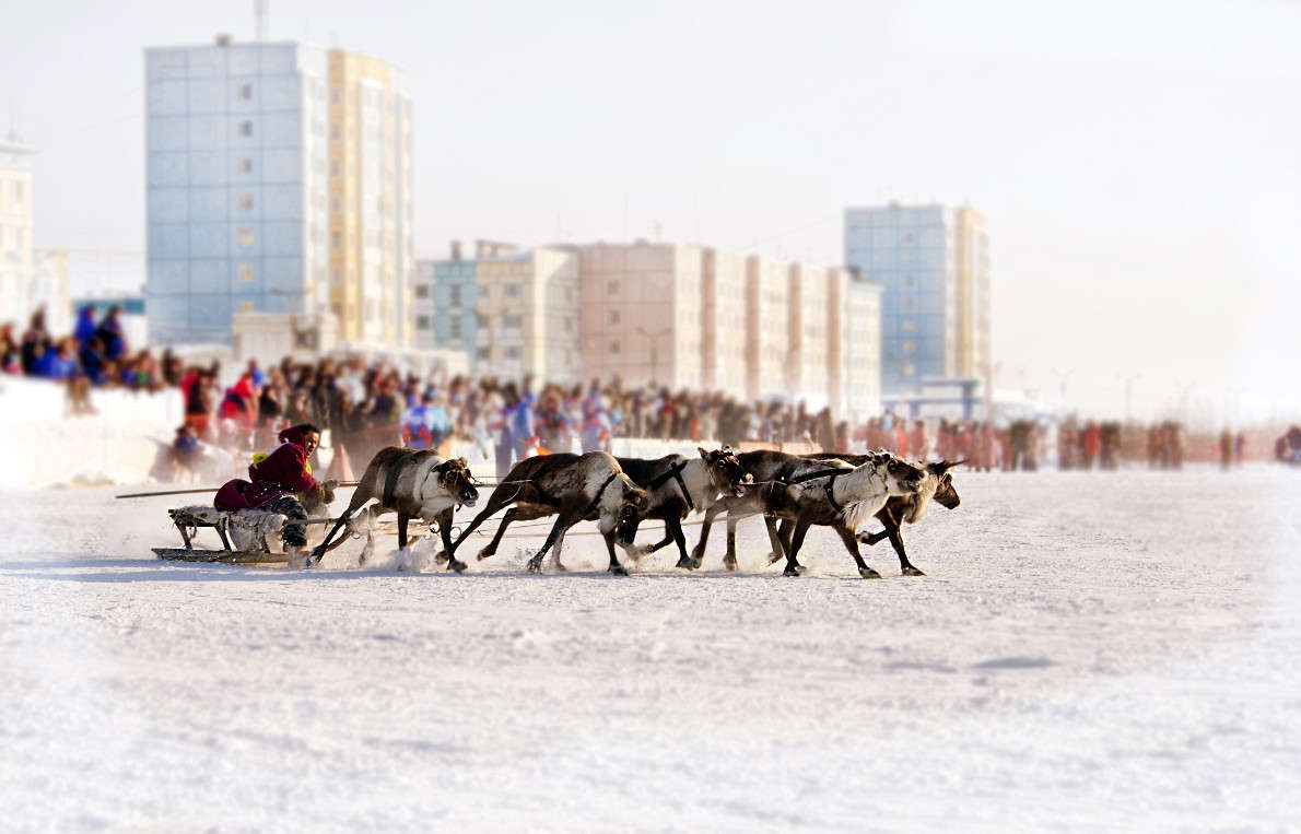 ����� ����� ����� ����������� �� PhotoGeek.ru #������� #����� #������ ��� ������� #�������� #��������� ������ #�������������� ���� #������ #����� ��������