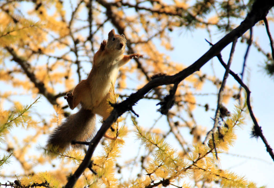 ��������� ����� ����� ����������� �� PhotoGeek.ru #�������� ��� #����� ��� ��� ���������