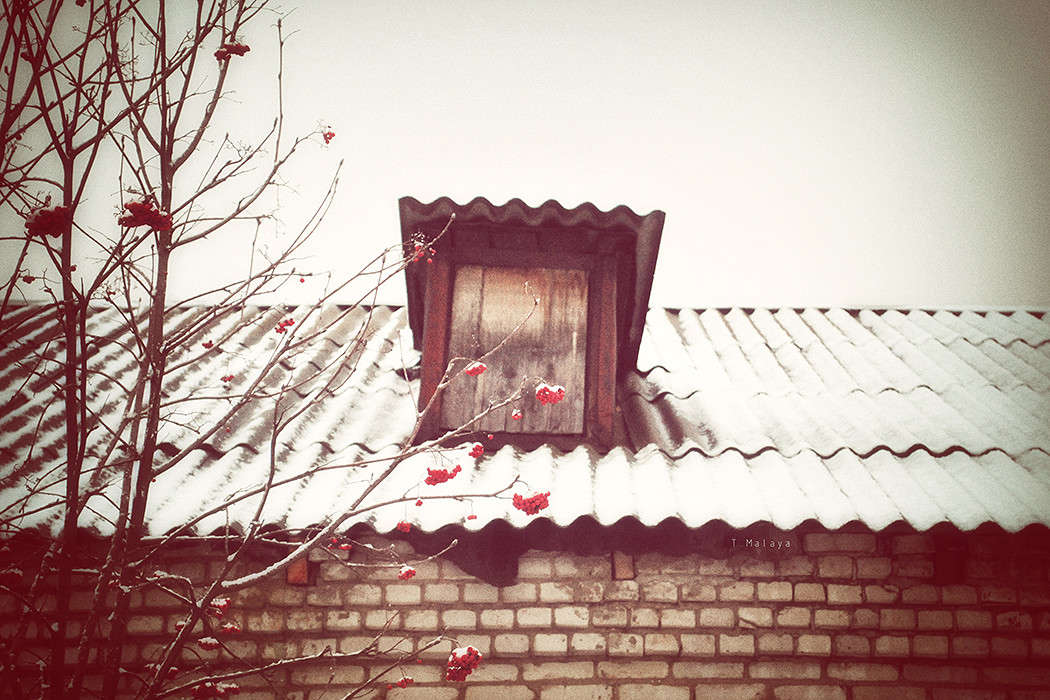 ���� ����� ����� T.M.  �� PhotoGeek.ru #����� #����� : �����.�.�. #����