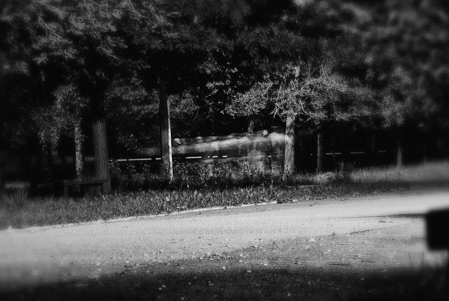 ������ ������ ����� T.M.  �� PhotoGeek.ru #���� #�������� ���������� #������� #����� : �����.�.�. #��������������� #�����-�����