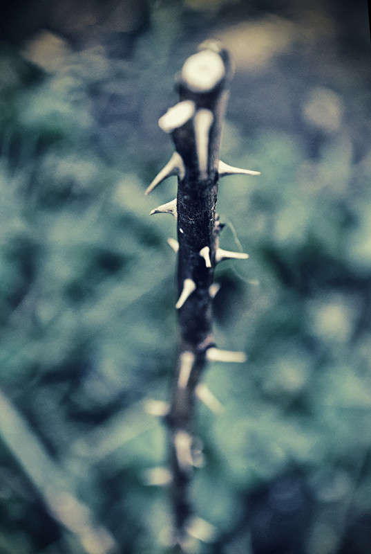 ������ ����� T.M.  �� PhotoGeek.ru #����� #����� : �����.�.�. #����� ��������������