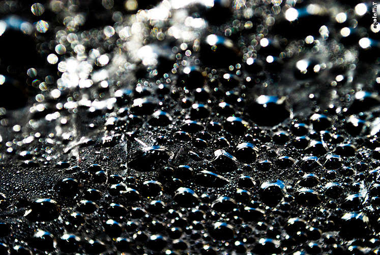 ���� ������ ����� T.M.  �� PhotoGeek.ru #��������� #����� : �����.�.�. #���-����������� #���������������