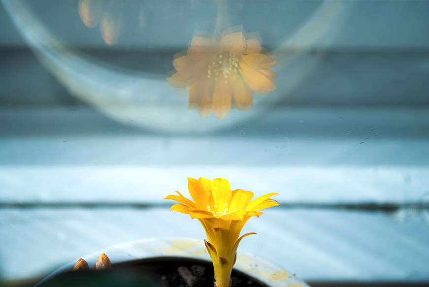 ������ ����� T.M.  �� PhotoGeek.ru #��������� #����� : �����.�.�. #��������� #������������� #�����