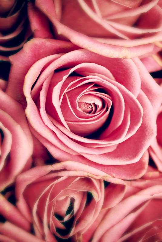 ������� ��� ����� T.M.  �� PhotoGeek.ru #��������� #����� : �����.�.�. #������������� #���� #�����