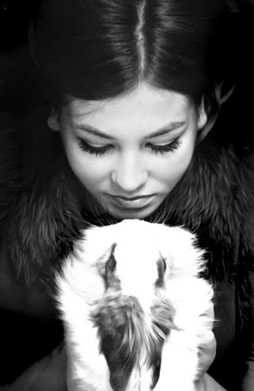 Rabbit ����� T.M.  �� PhotoGeek.ru #�������� ���������� #������� #����� : �����.�.�. #������������� #�����-�����