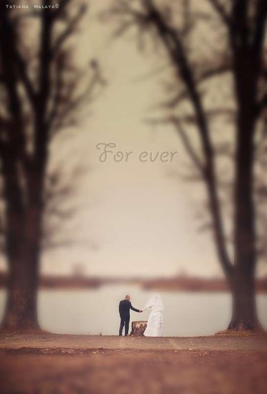 T.M. ����� T.M.  �� PhotoGeek.ru #��������� ���������� #�������� ���������� #������� #����� : �����.�.�. #�������������