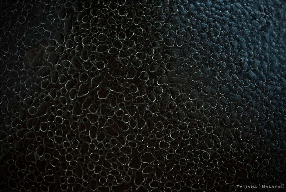 T.M. ����� T.M.  �� PhotoGeek.ru #����� #����� : �����.�.�.