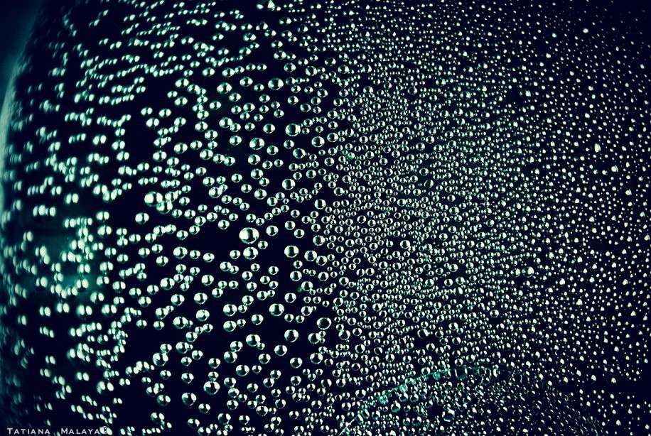 T.M. ����� T.M.  �� PhotoGeek.ru #����� #���������� #����� : �����.�.�.