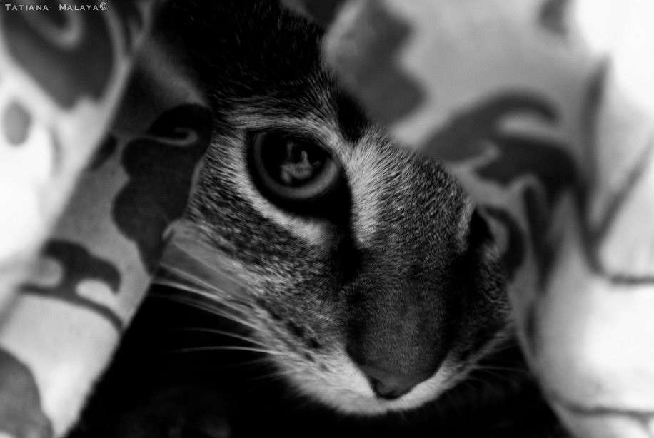 T.M. ����� T.M.  �� PhotoGeek.ru #�������� ���