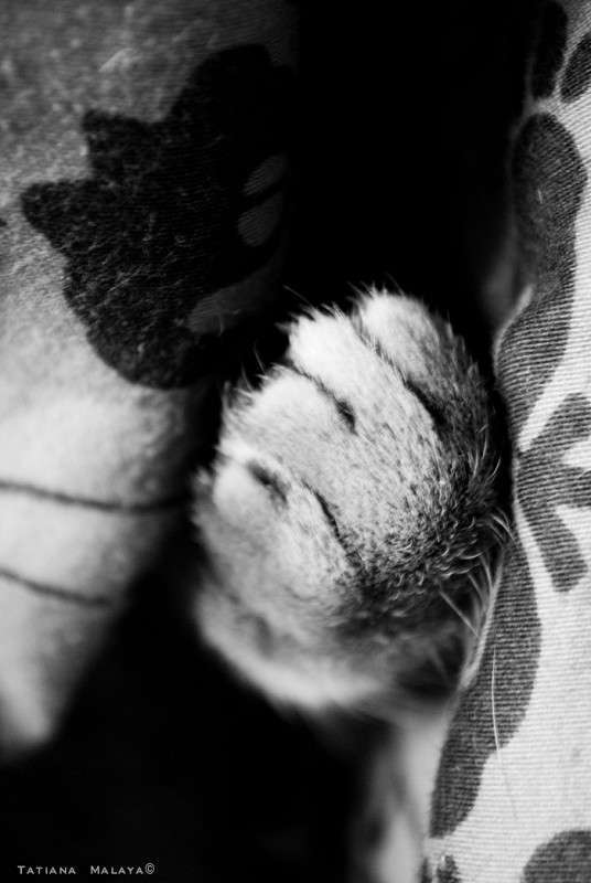 T.M. ����� T.M.  �� PhotoGeek.ru #�������� ���