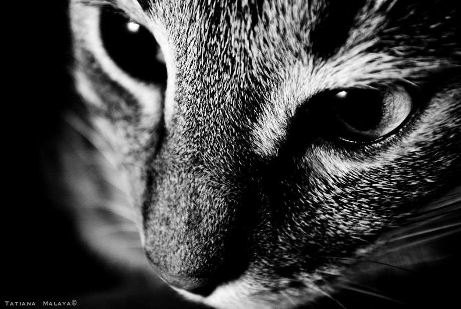 T.M. ����� T.M.  �� PhotoGeek.ru #�������� ���