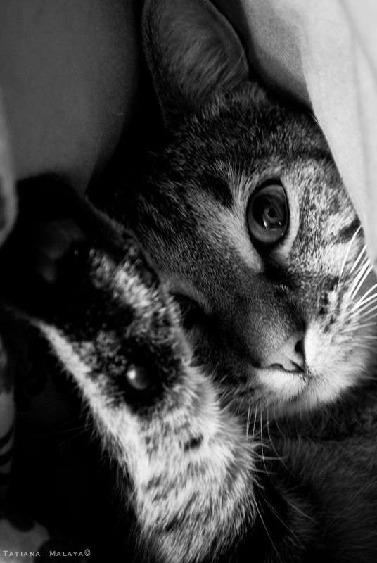 T.M. ����� T.M.  �� PhotoGeek.ru #�������� ���