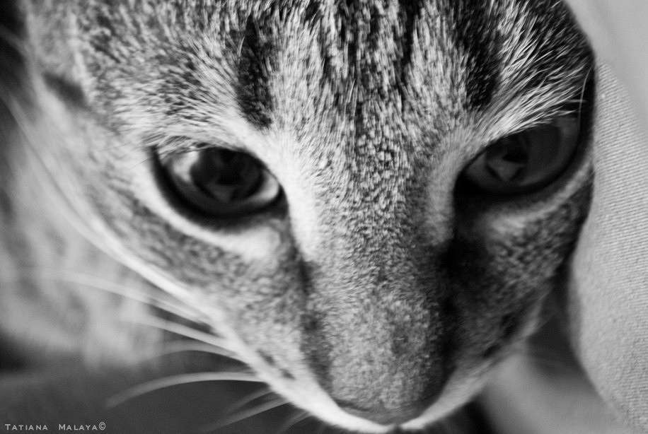 T.M. ����� T.M.  �� PhotoGeek.ru #�������� ���