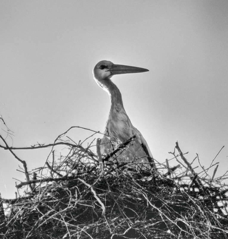 � ����� �� ����� ����� T.M.  �� PhotoGeek.ru #�������� ��� #����� ��� ��� ��������� #�����-�����