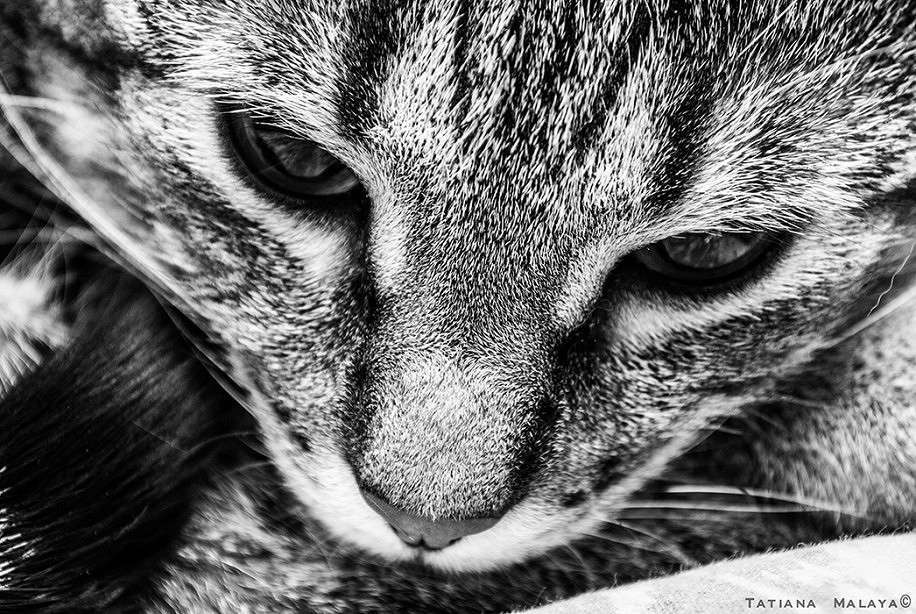 T.M. ����� T.M.  �� PhotoGeek.ru #�������� ���