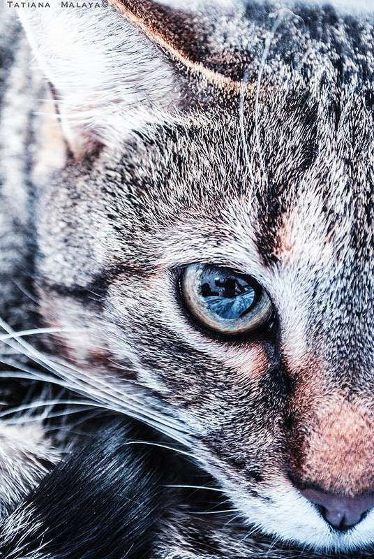 T.M. ����� T.M.  �� PhotoGeek.ru #�������� ��� #����� : �����.�.�.