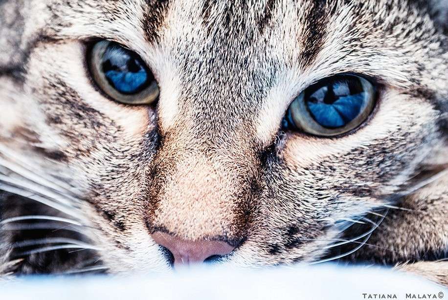 T.M. ����� T.M.  �� PhotoGeek.ru #�������� ��� #����� : �����.�.�.