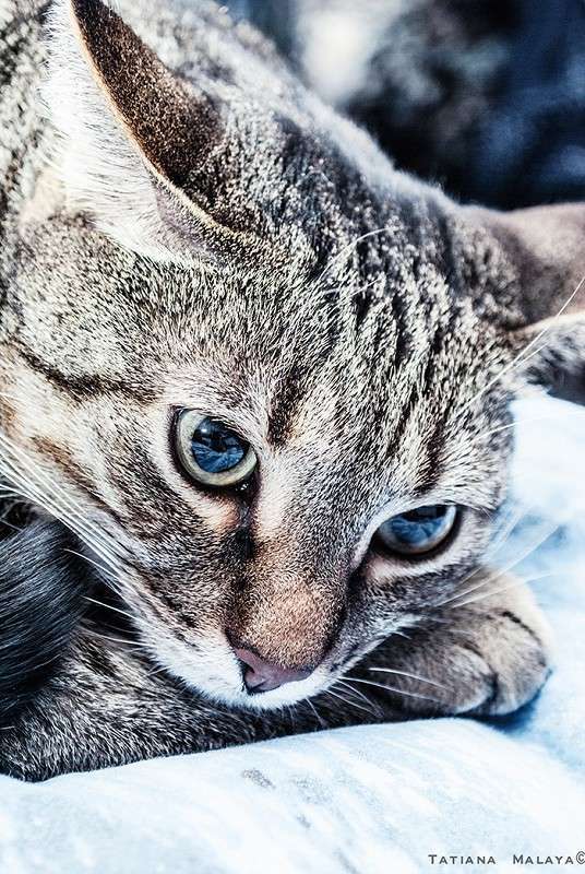 T.M. ����� T.M.  �� PhotoGeek.ru #�������� ��� #����� : �����.�.�.