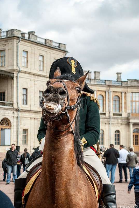 T.M. ����� T.M.  �� PhotoGeek.ru #��������