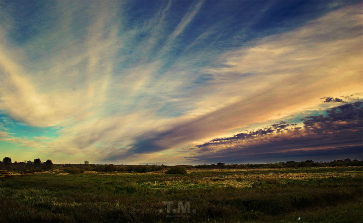 �� ��������� ������������ ����� T.M.  �� PhotoGeek.ru #������ ��� ������� #��������� ���� #����� �������������� #������