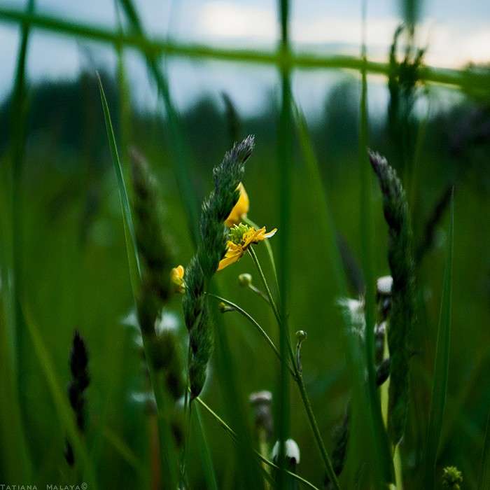 T.M. ����� T.M.  �� PhotoGeek.ru #����� #������ ��� ������� #����� : �����.�.�. #����� ��������������