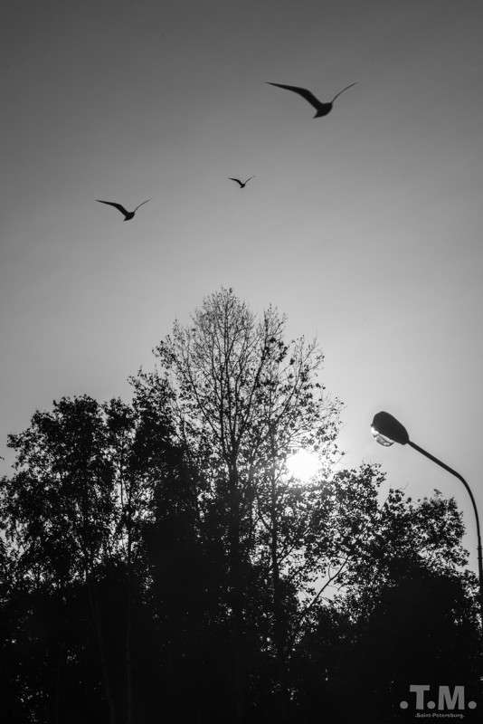 ���� ���������� ����� T.M.  �� PhotoGeek.ru #����� #������ ��� ������� #������ ���� #����� �������������� #������ #�����-��� #�����-�����