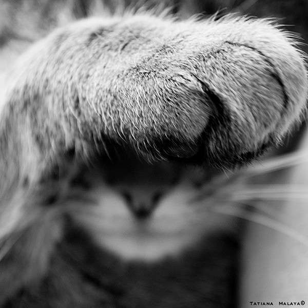 T.M. ����� T.M.  �� PhotoGeek.ru #�������� ��� #����� : �����.�.�. #�������� ��� #���