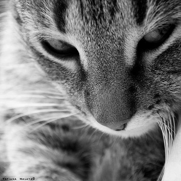 T.M. ����� T.M.  �� PhotoGeek.ru #�������� ��� #�������� ��� #���