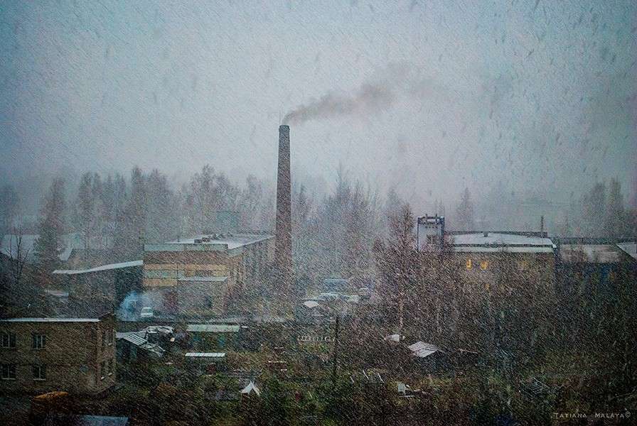 �,�, ����� T.M.  �� PhotoGeek.ru #����� #������ ������ #��������� ������