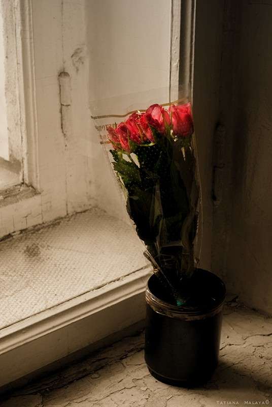 �.�. ����� T.M.  �� PhotoGeek.ru #��������� #���������������