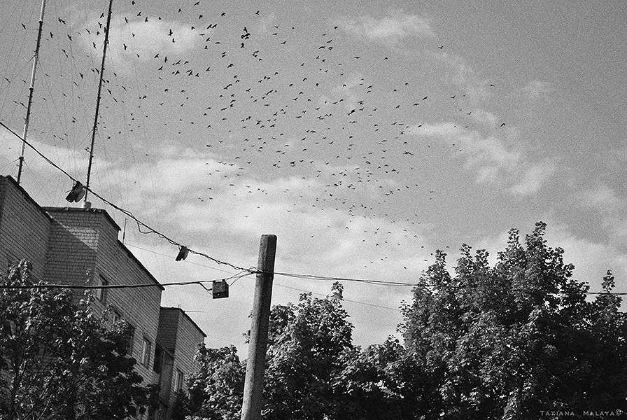 ��������� ������ ����� T.M.  �� PhotoGeek.ru #����� #����������� #����� #��������� ������