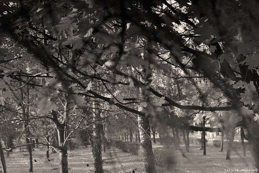 ������� �� �������� ����� ����� T.M.  �� PhotoGeek.ru #����� #�������� ���������� #������ ���� #��������� ������ #�����-���� #�����-�����