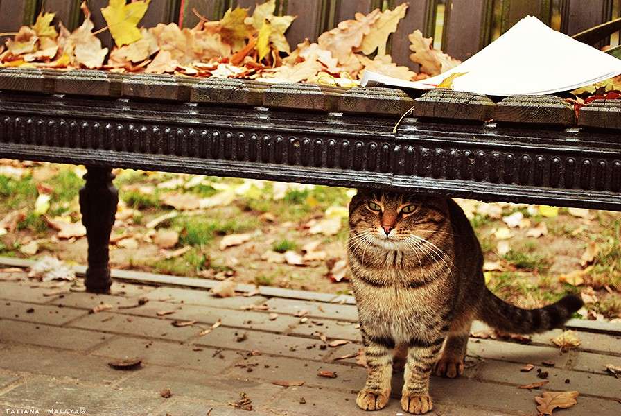 ������� �������� ��� ����� T.M.  �� PhotoGeek.ru #����� #�������� ��� #��������� ������ #��������