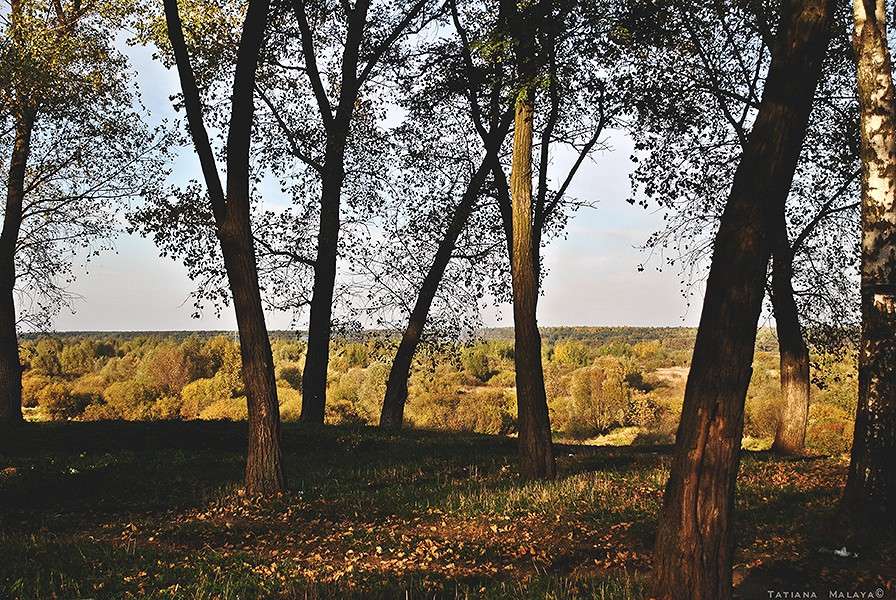 �������� ����������� ������. ����� T.M.  �� PhotoGeek.ru #������ ��� ������� #����������� #����� ��������������