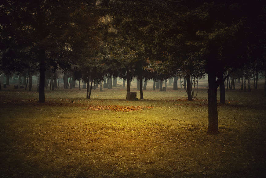 �������� ����� ����� T.M.  �� PhotoGeek.ru #������ ��� ������� #����� : �����.�.�. #��� #����� #������