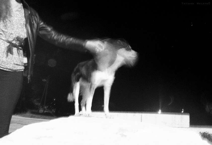 ��� ������ ����? ����� T.M.  �� PhotoGeek.ru #���� #����� #�������� ��� #������ ����