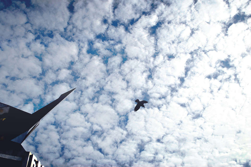 ... ����� T.M.  �� PhotoGeek.ru #����� #�������� ��� #������ ��� ������� #����� : �����.�.�. #��������� ������ #���� #������