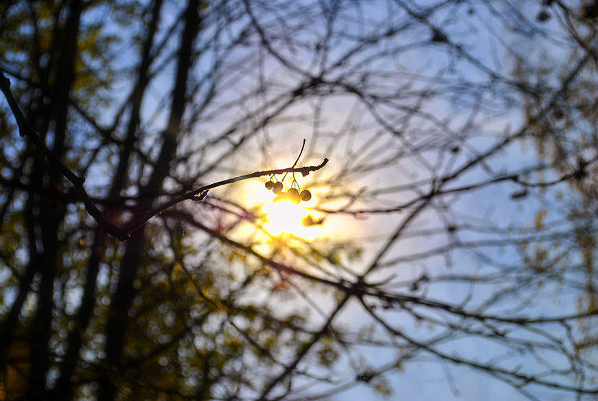 ... ����� T.M.  �� PhotoGeek.ru #������ ��� ������� #����� : �����.�.�.