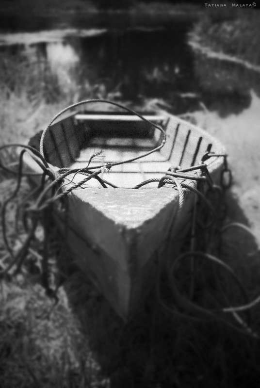 ������� �� ������ ����� T.M.  �� PhotoGeek.ru #������ ��� ������� #�������� ���������� #��������������� #�����-�����