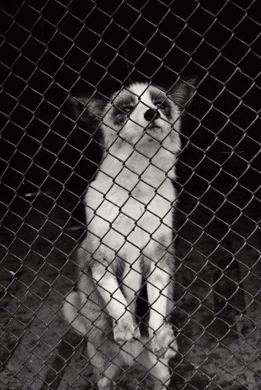 ��� � ������ ����� T.M.  �� PhotoGeek.ru #����� #�������� ��� #�������� ���������� #����� : �����.�.�. #��������������� #�����-�����