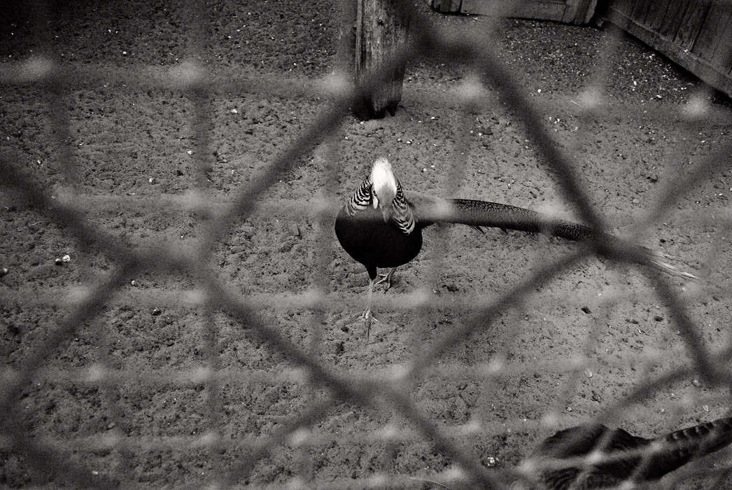 ��� �  ������ ����� T.M.  �� PhotoGeek.ru #����� #�������� ��� #�������� ���������� #����� : �����.�.�. #��������������� #�����-�����