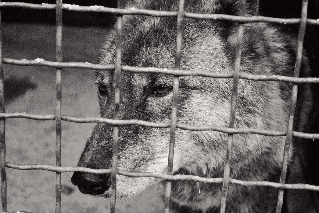 ������������� ����� T.M.  �� PhotoGeek.ru #�������� ��� #�������� ���������� #����� : �����.�.�. #��������������� #�����-�����