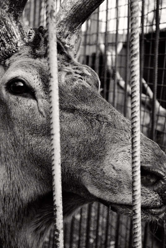 ��� � ������ ����� T.M.  �� PhotoGeek.ru #�������� ��� #�������� ���������� #����� : �����.�.�. #��������������� #�����-�����