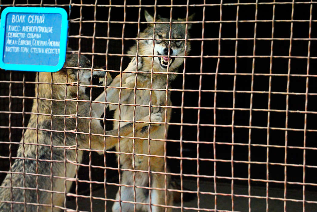 ��� � ������ ����� T.M.  �� PhotoGeek.ru #�������� ��� #�������� ���������� #����� : �����.�.�.