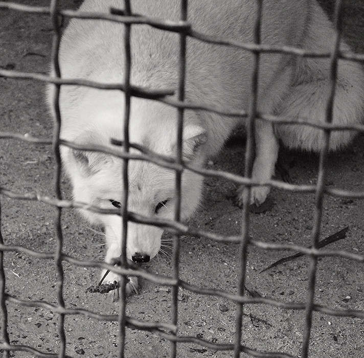 ... ����� T.M.  �� PhotoGeek.ru #�������� ��� #�������� ���������� #����� : �����.�.�. #��������������� #�����-�����