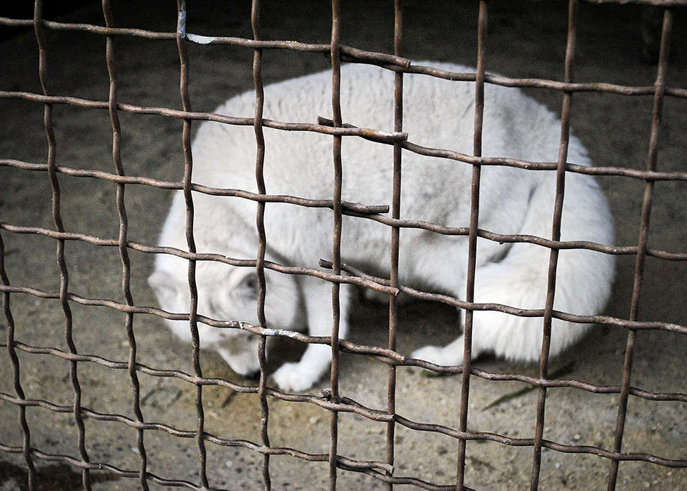 ... ����� T.M.  �� PhotoGeek.ru #�������� ��� #�������� ���������� #�������� #����� : �����.�.�. #����� ��� ��� ��������� #���������������