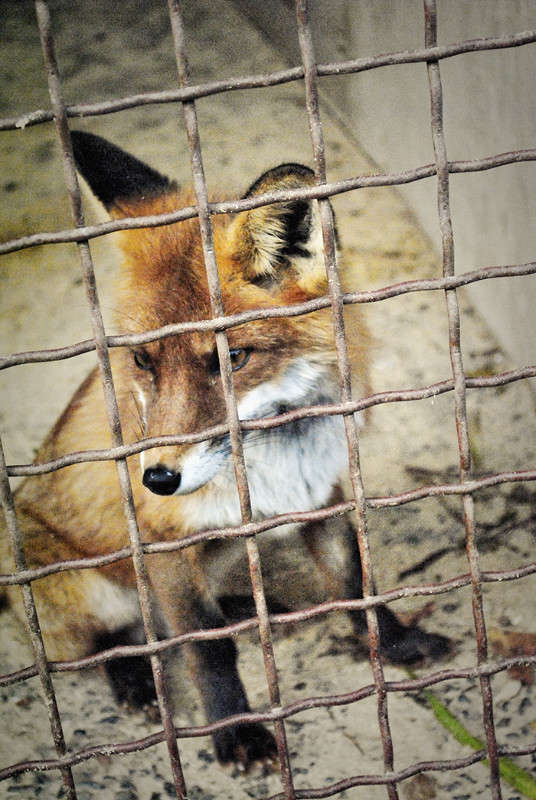 ... ����� T.M.  �� PhotoGeek.ru #�������� ��� #�������� ���������� #����� ��� ��� ��������� #���������������