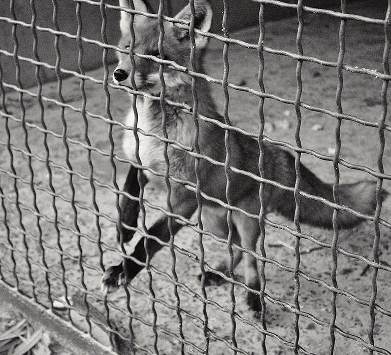 ... ����� T.M.  �� PhotoGeek.ru #�������� ��� #�������� ���������� #�������� #����� ��� ��� ��������� #��������������� #�����-�����