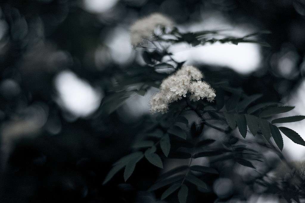 ... ����� ���������� ���������� �� PhotoGeek.ru #������ ��� �������